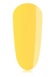   Fries  20 ml 