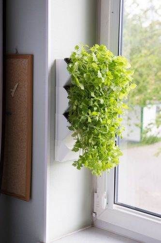 Aquael Versa Garden Herbs Vit 40cm - 2