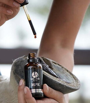  Unique- Horn HPE 50 ml