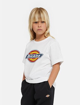 Dickies Icon t-shirt barn