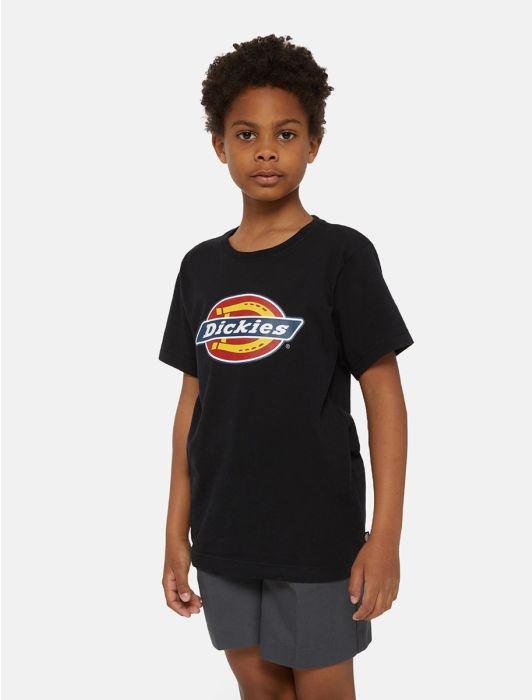 Dickies Icon t-shirt barn