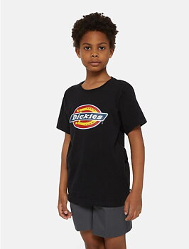Dickies Icon t-shirt barn