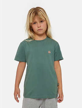 Dickies Mapleton t-shirt barn