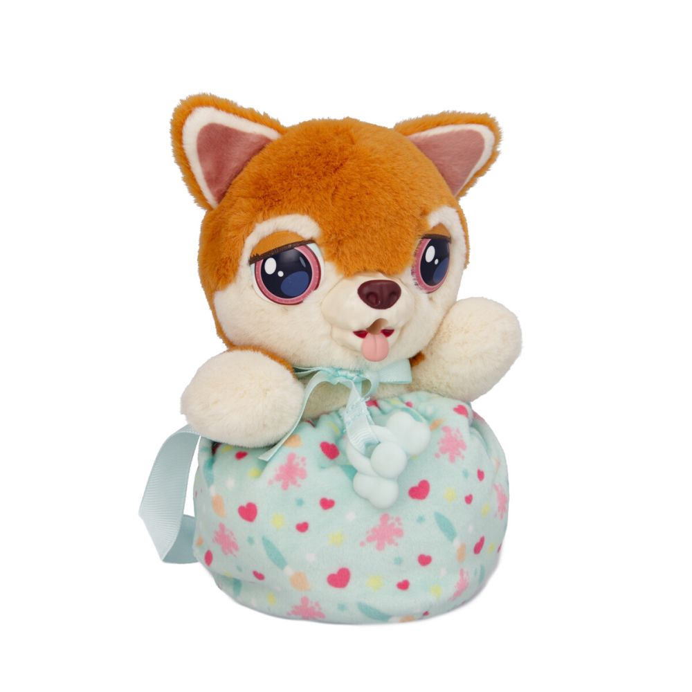 Baby Paws Mini Shiba
