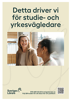 Detta driver vi för studie- och yrkesvägledare - folder A5