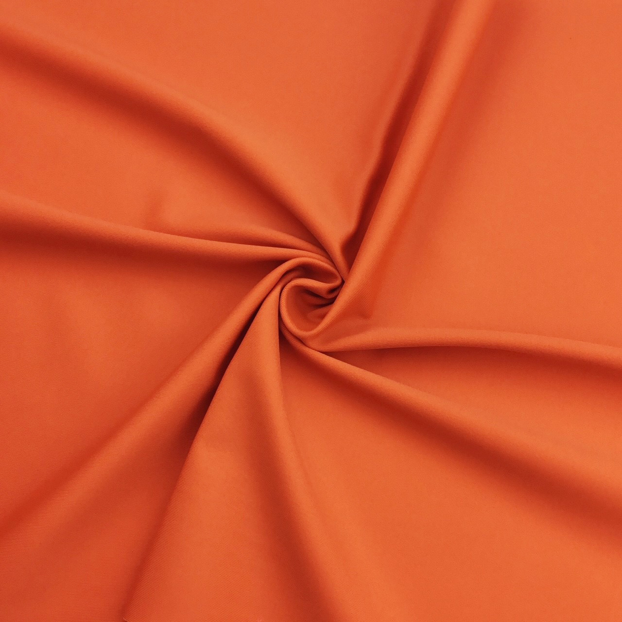 Swimwear fabric matte Dragon