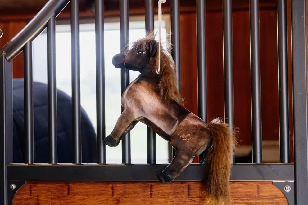 Kentucky Relax Horse Toy - 4