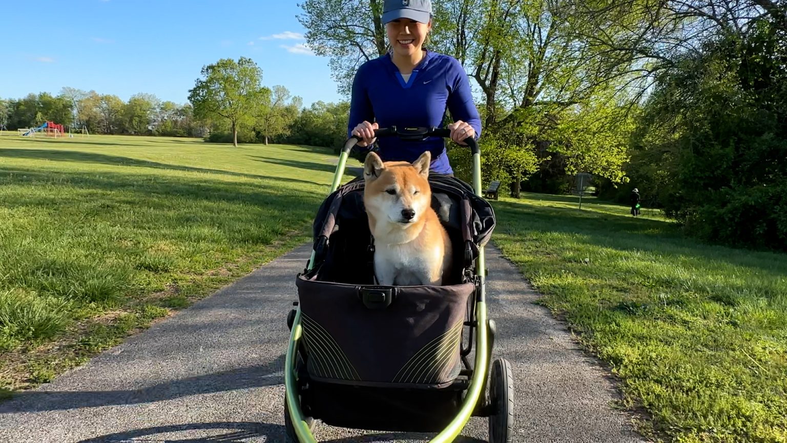 The Beast Pet Jogging Stroller -  Jet Black - 4