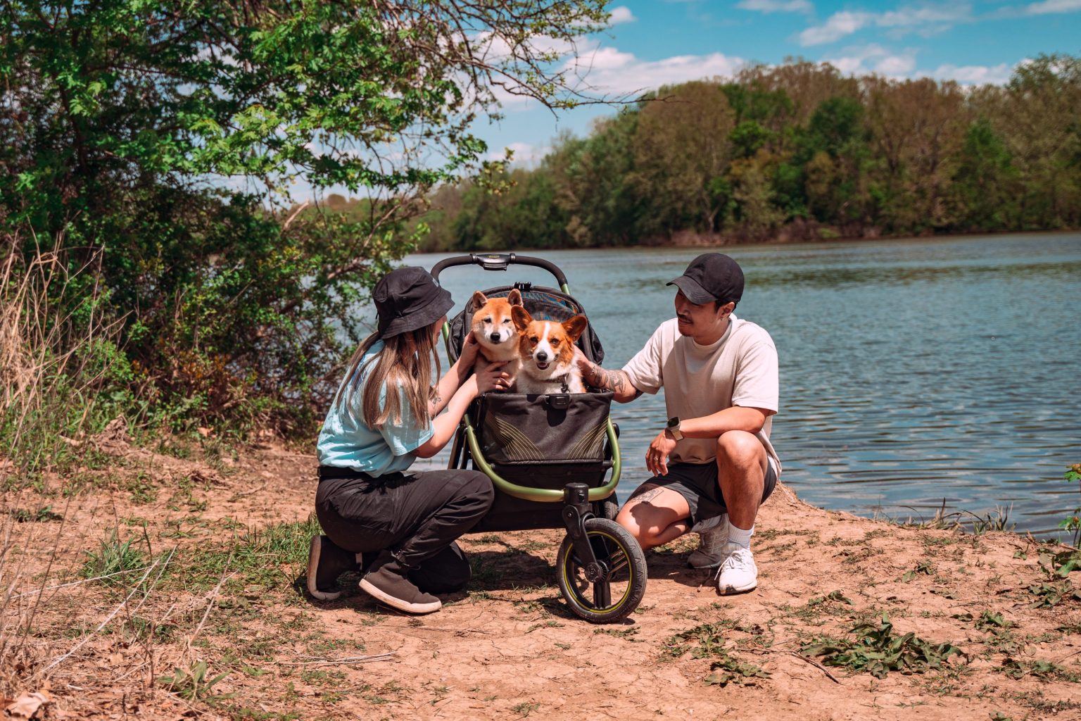 The Beast Pet Jogging Stroller -  Jet Black - 14