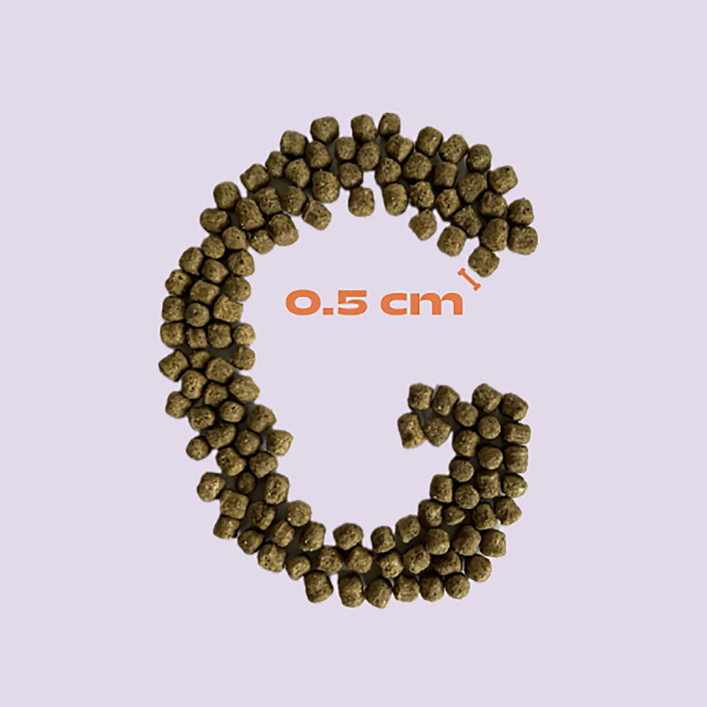 Climate smart eco friendly dog food from Sweden