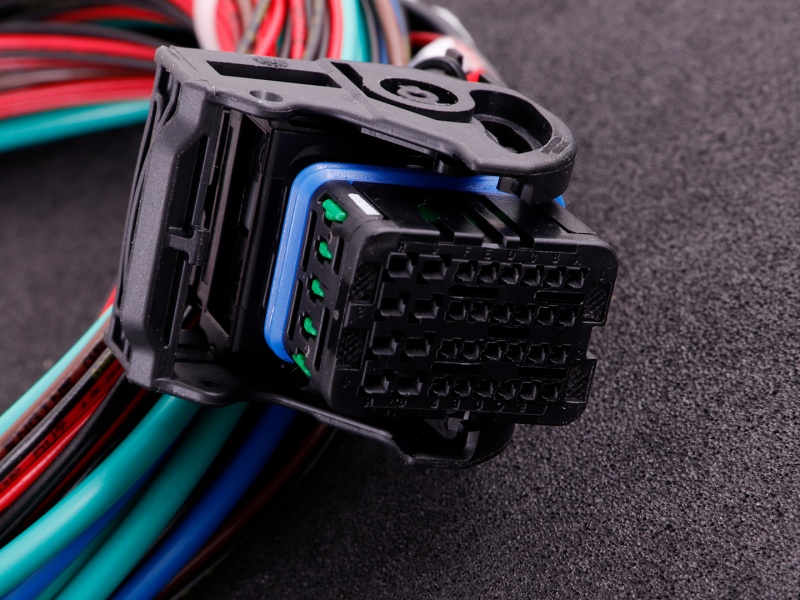 MaxxECU RACE cable harness 2 (EGT, E-Throttle, extra) - 2