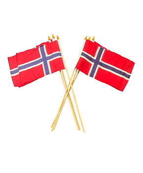 Norgeflagga i tyg på pinne - 6st 