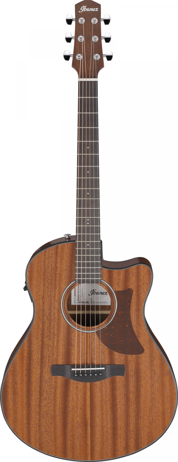 Ibanez AAM54CE-OPN Advanced Auditorium