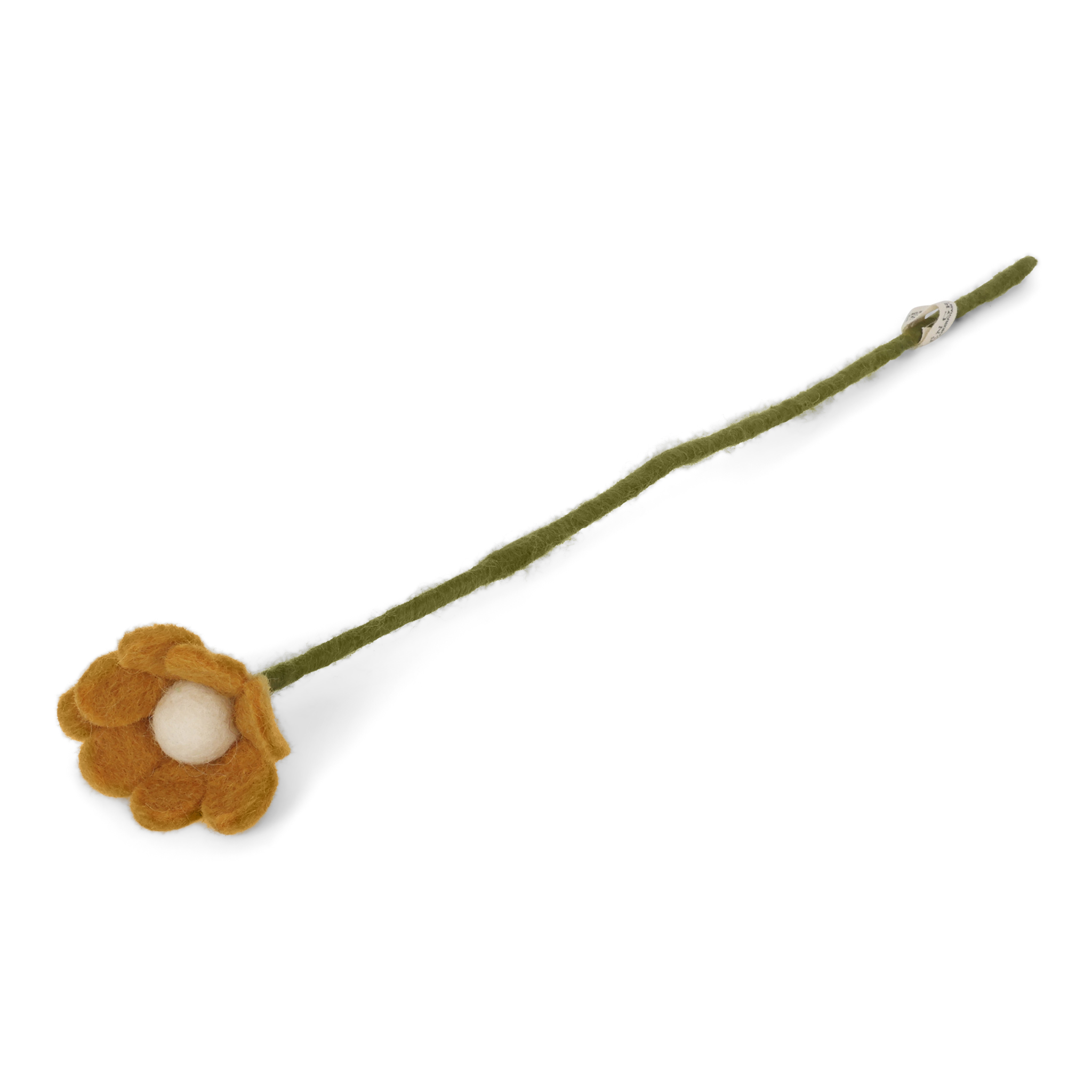 Anemone Dusty Yellow