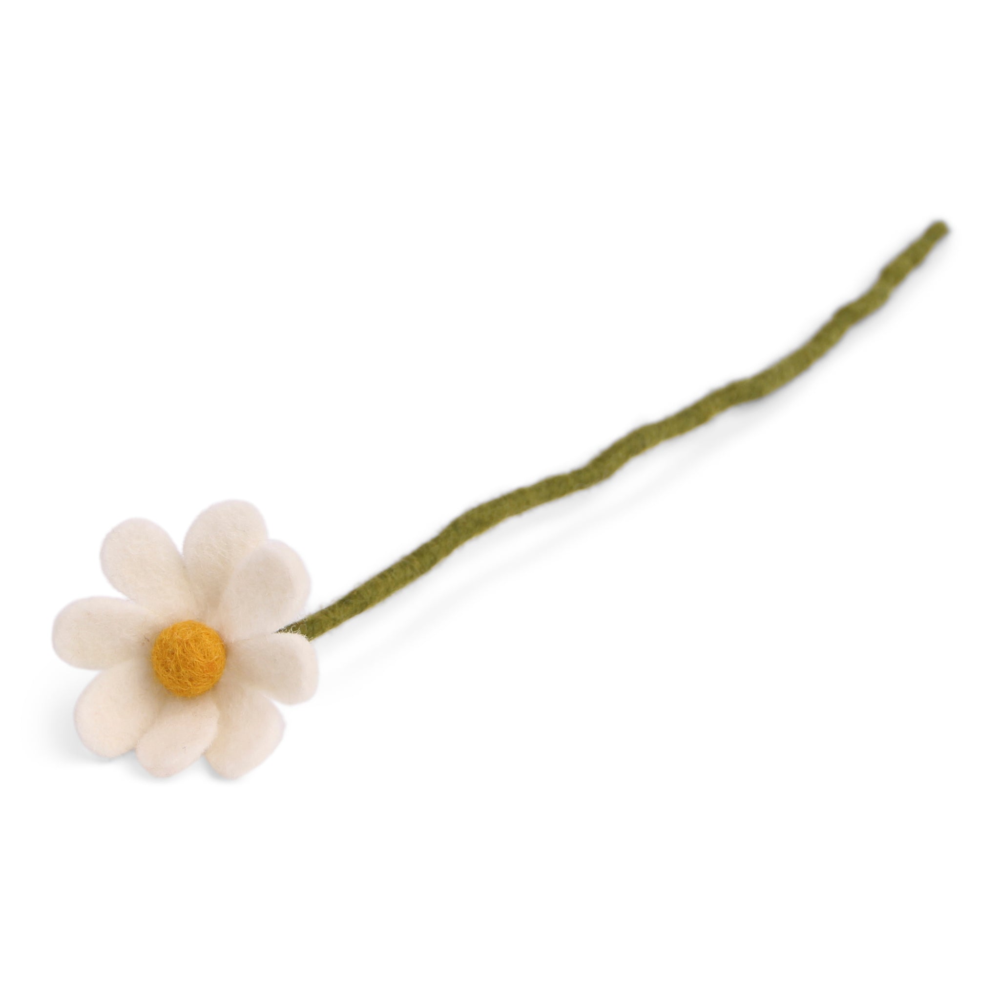 Anemone White