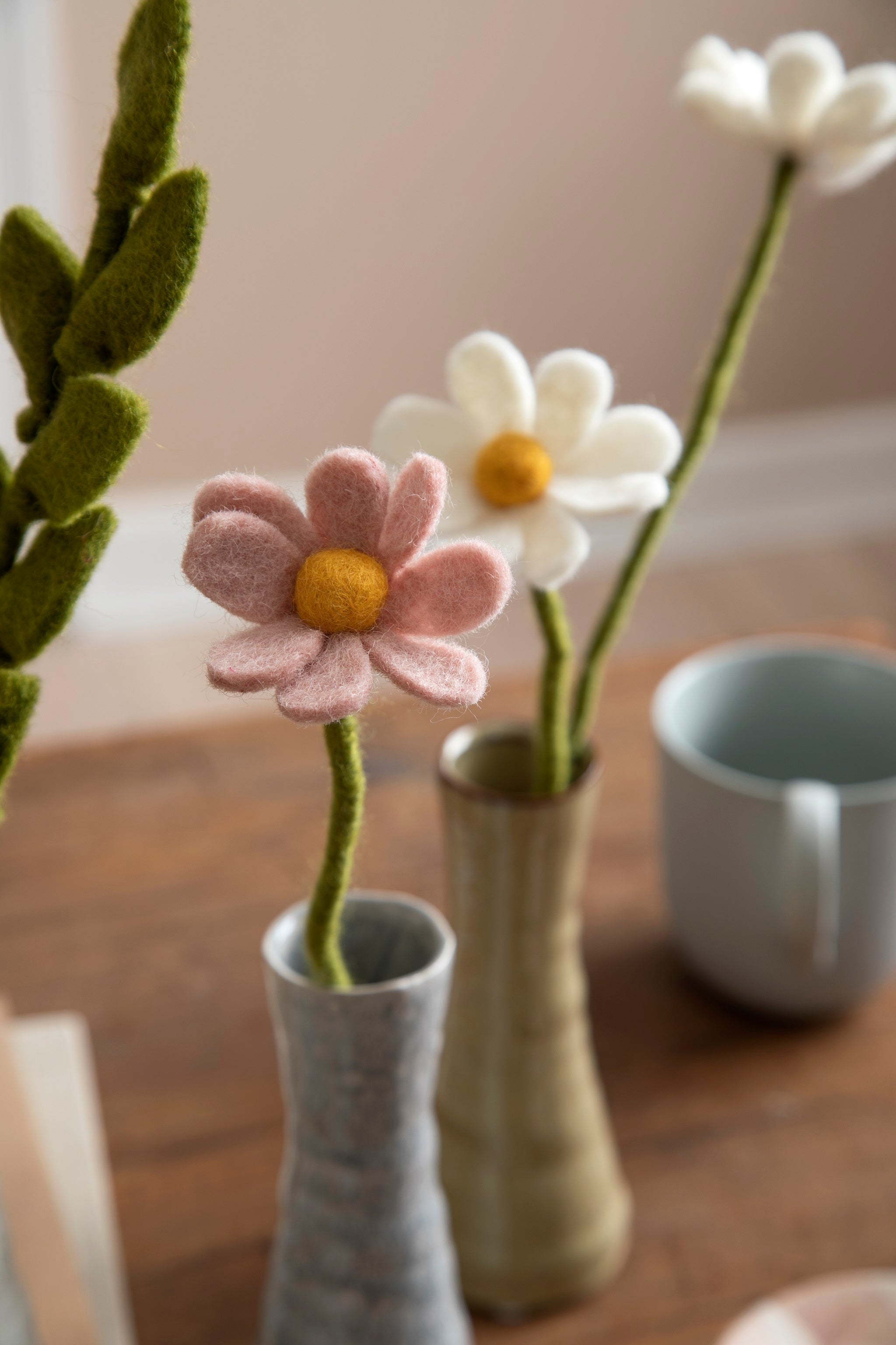 Anemone Staubige Rose - 2