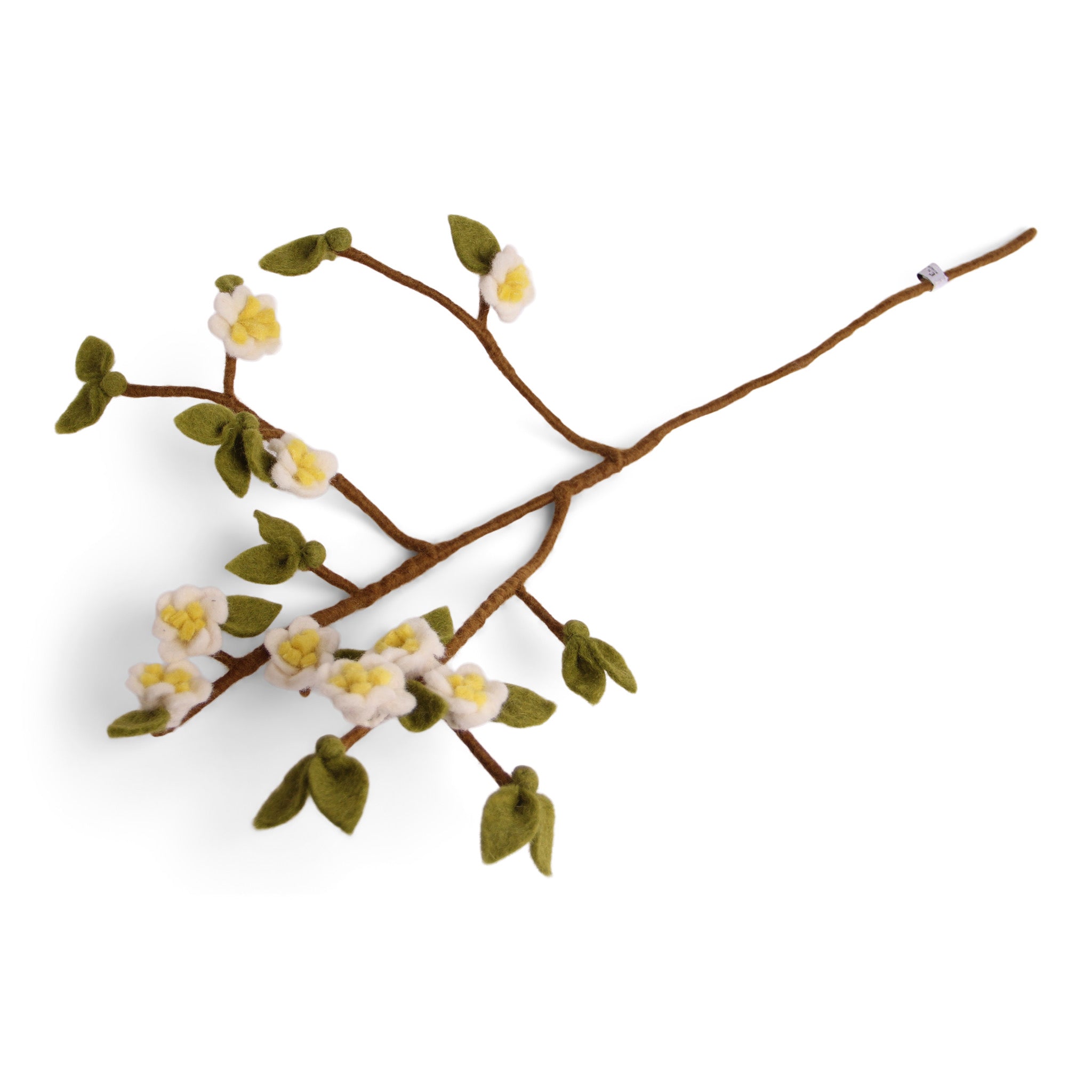 Baumwollblüte auf Zweig