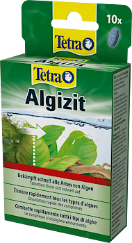 Tetra Algizit 10 tabletter