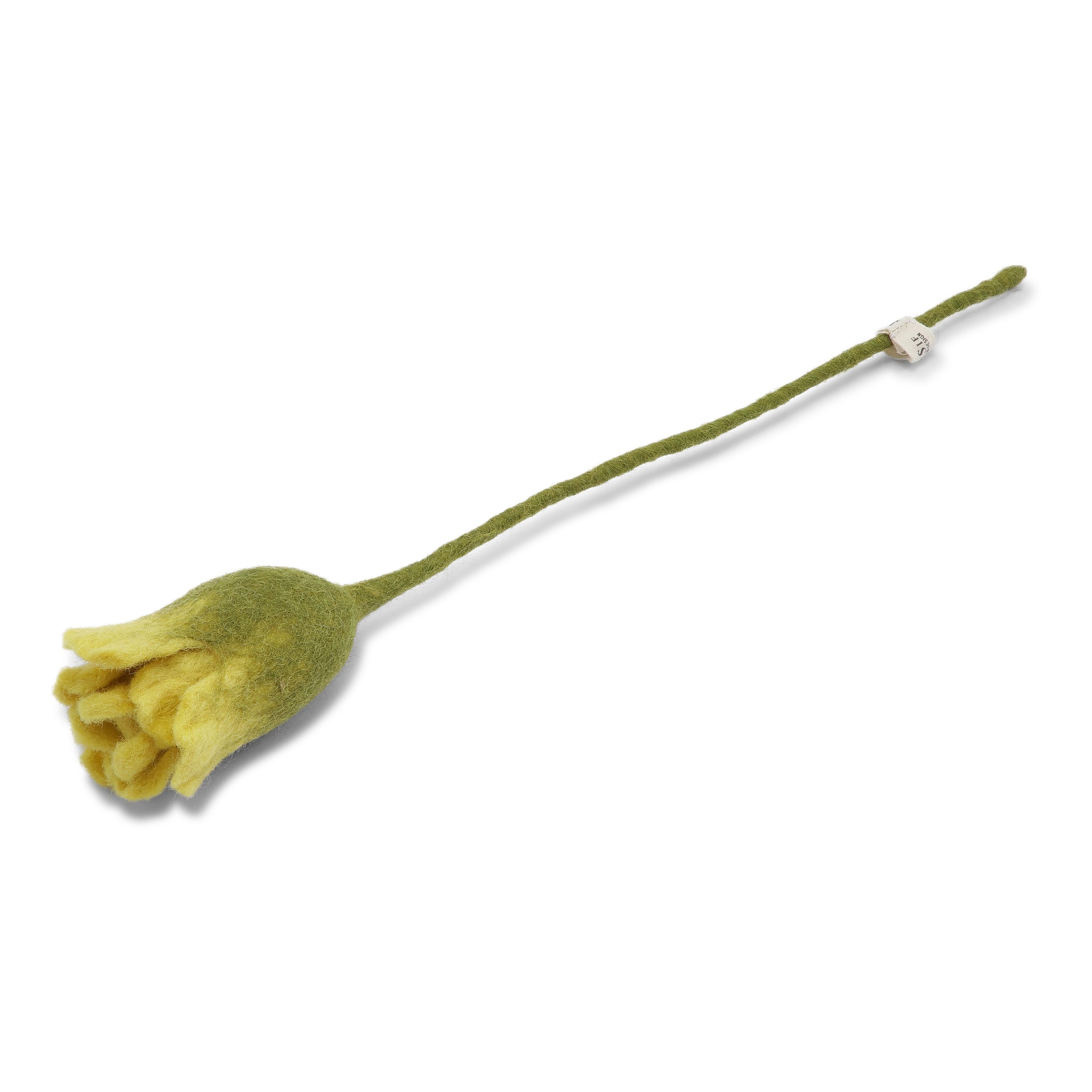 Keltainen tulppaani