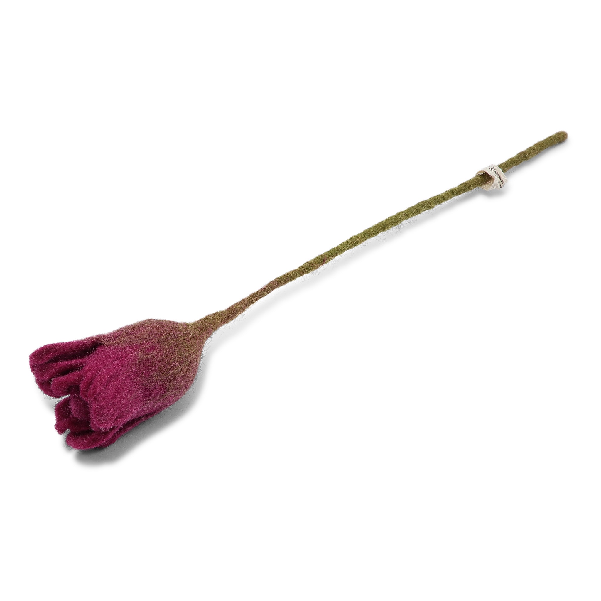 Gelbe einzelne Rose
