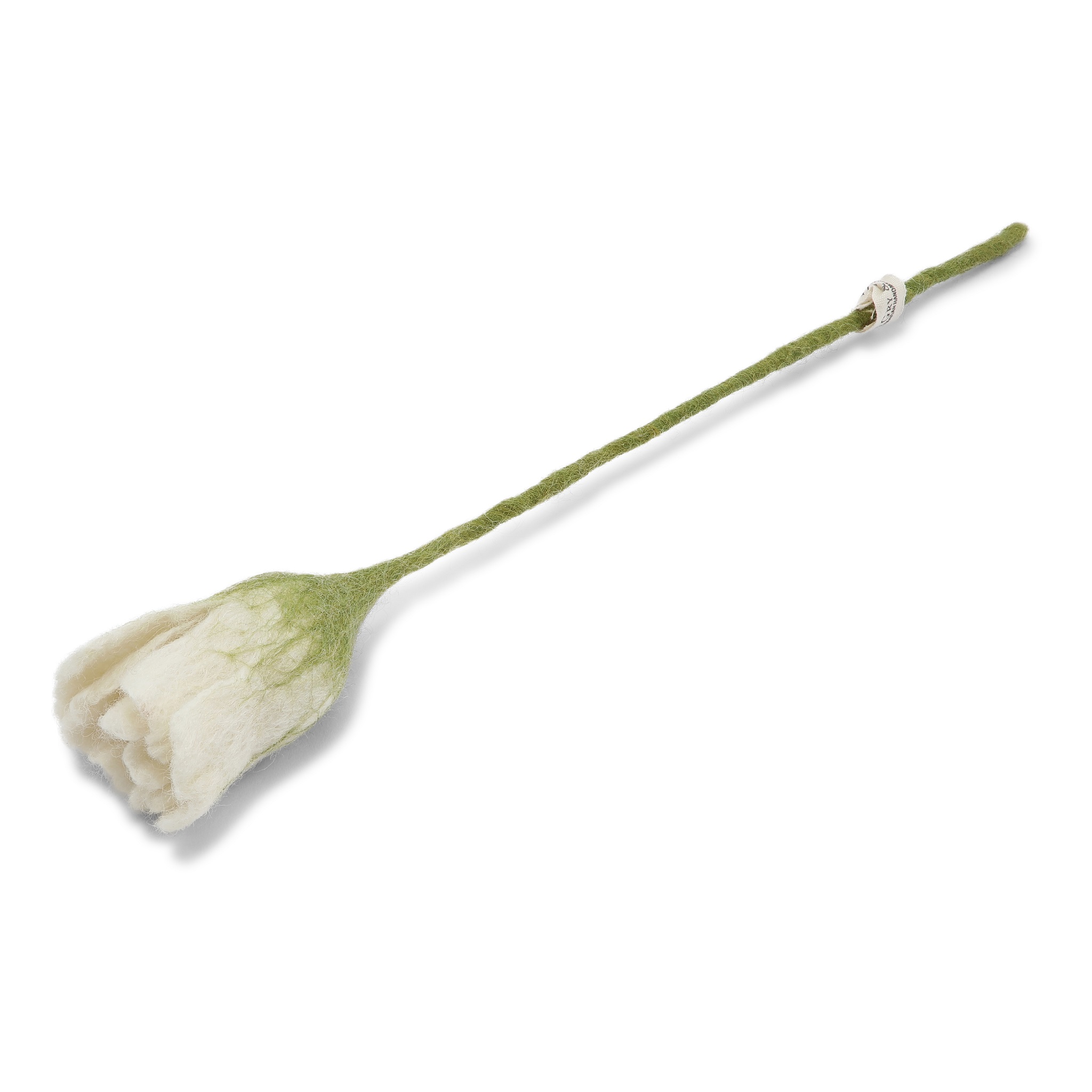 White Tulip