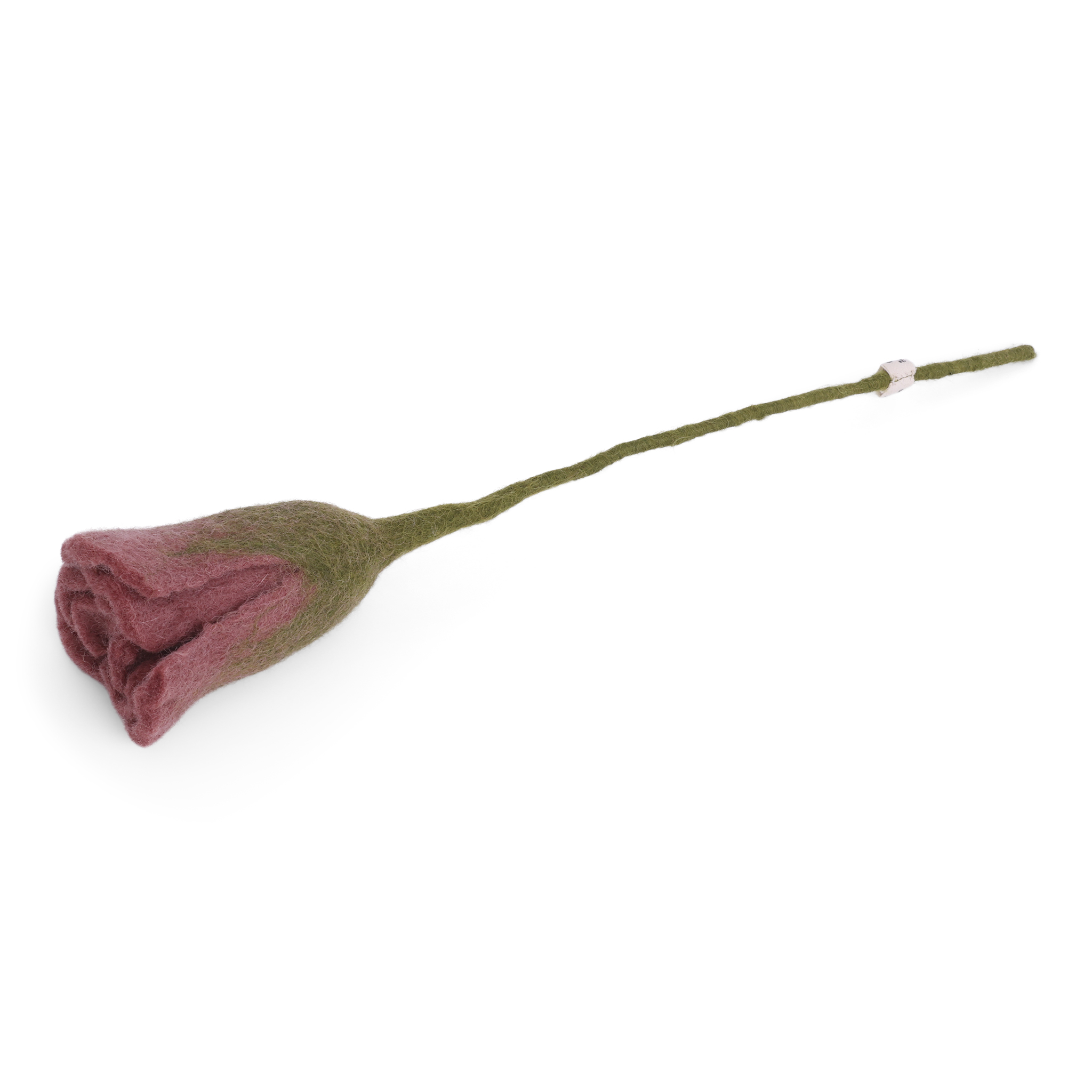 Rouge tulip