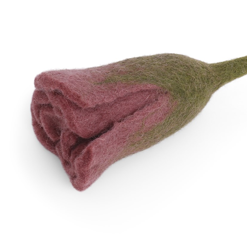 Rouge tulip - 2