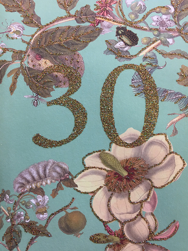 Kort & kuvert / 30