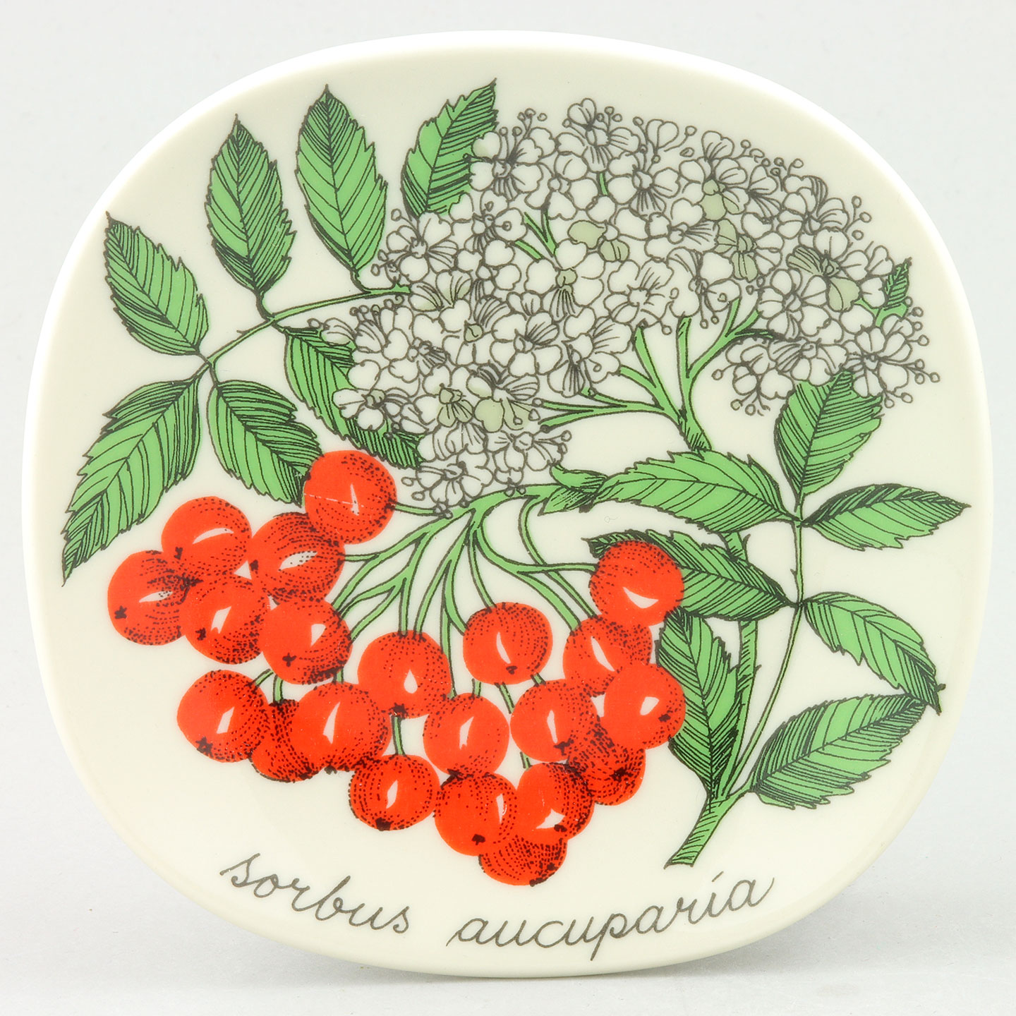 エステリ・トムラ Botanicaシリーズ 陶板 Sorbus aucuparia 1984年 13 cm