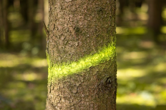 Kerbl Marking spray Forst Neon - Neon Yellow