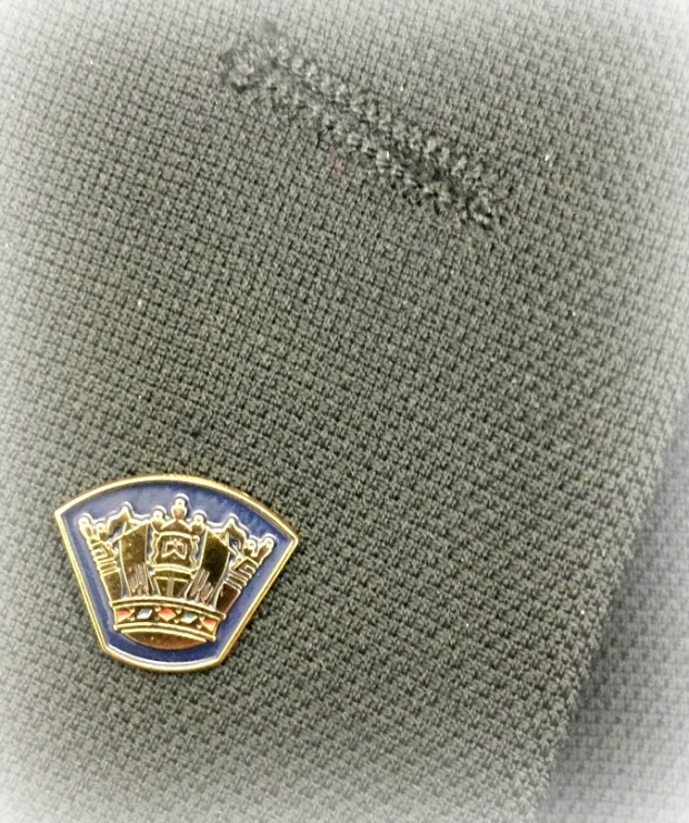 Pin