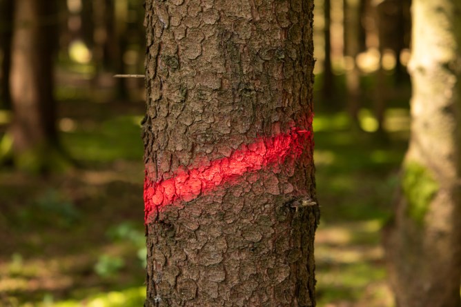 Kerbl Marking spray Forst Neon - Neon Red