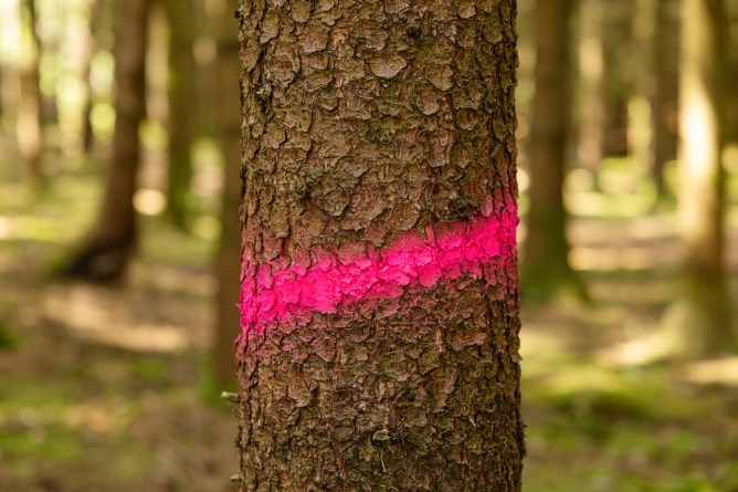 Kerbl Marking Spray Forst Neon 500 ml - Neon Pink