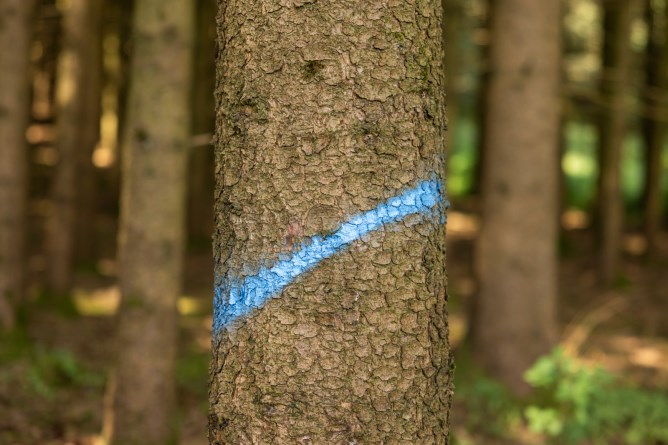 Kerbl Marking spray Forst Neon - Neon Blue