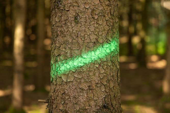 Kerbl Markeringsspray Forst Neon 500 ml - Neon Grön - 2