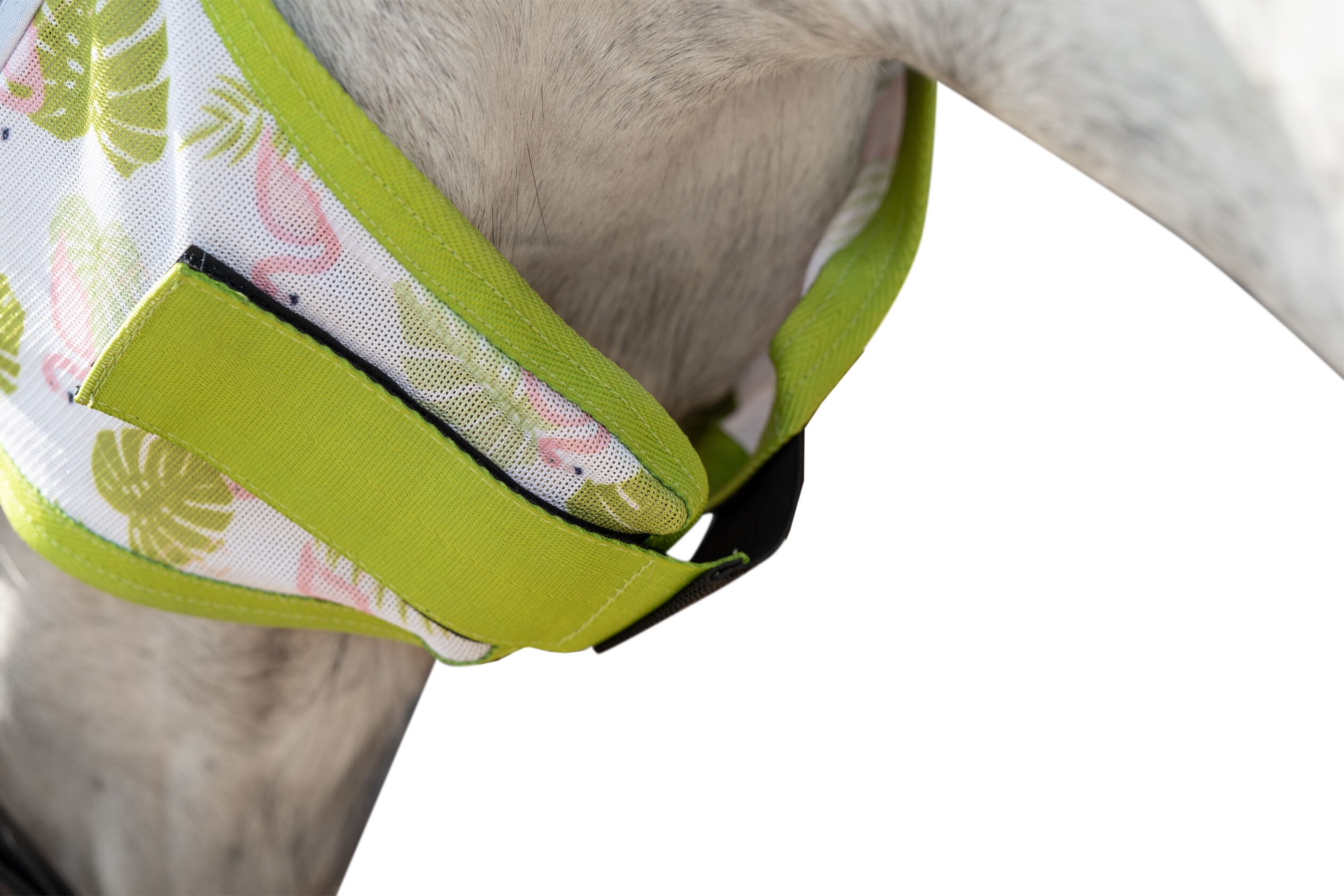 HKM Flughuva Flamingo - 3