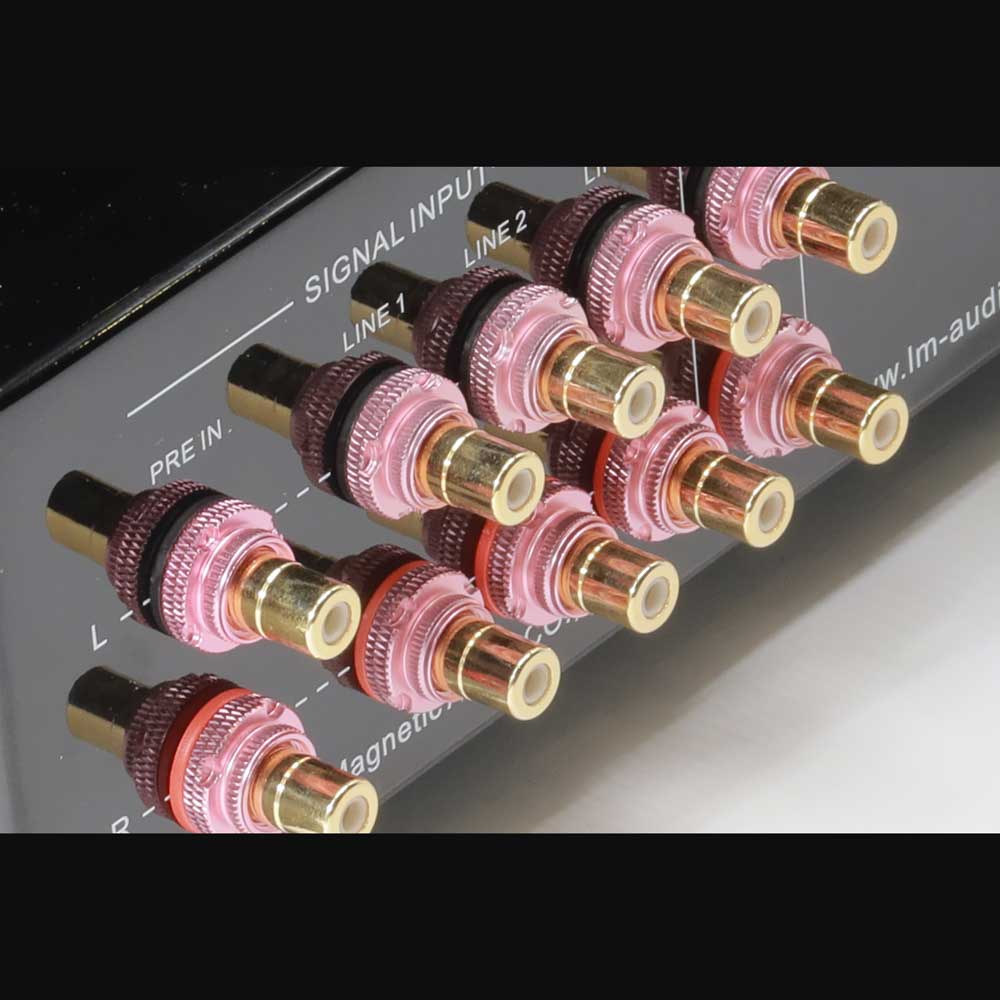 Line Magnetic Audio LM - 300IA - 5