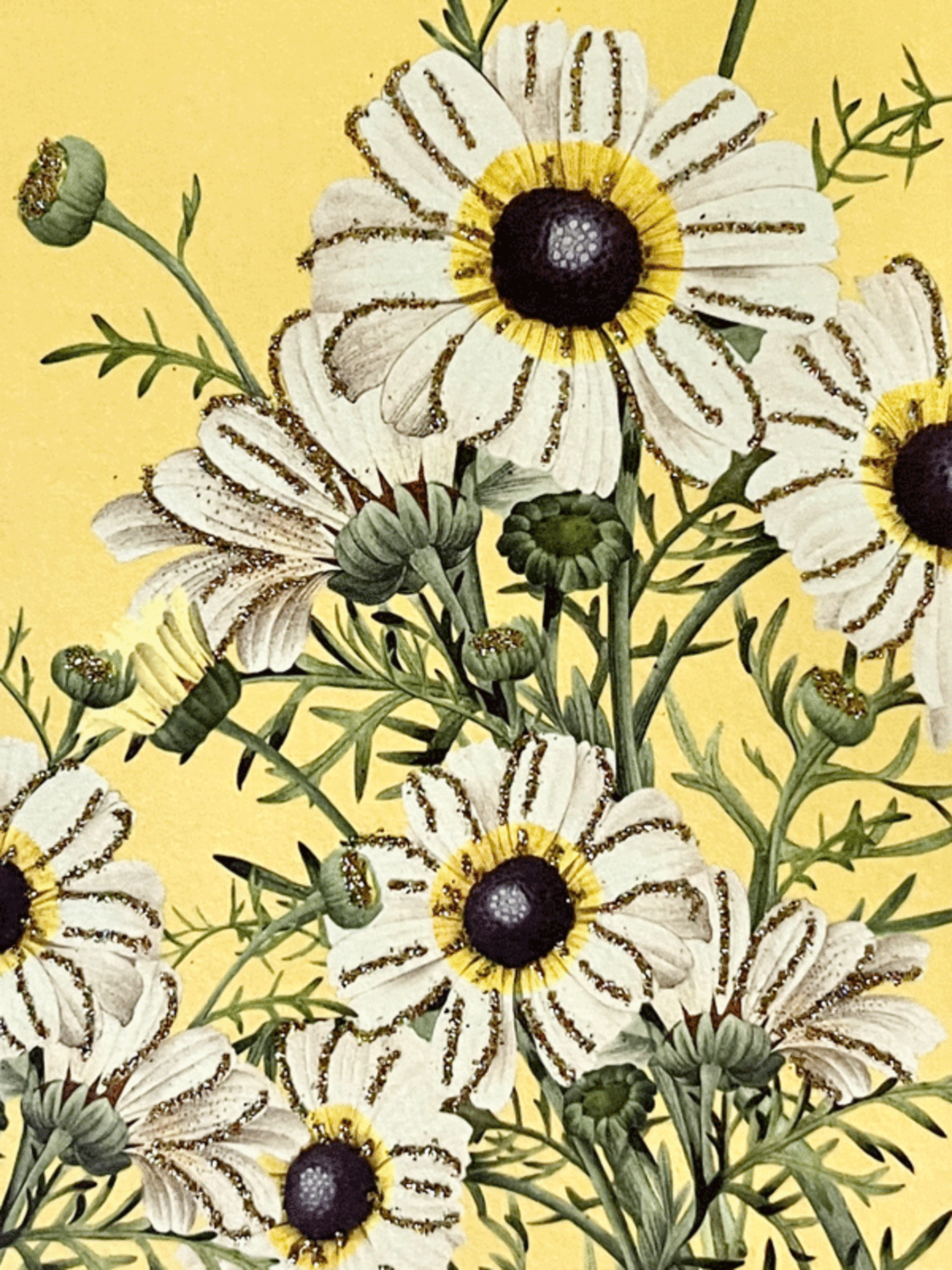 Kort & Kuvert / Flower