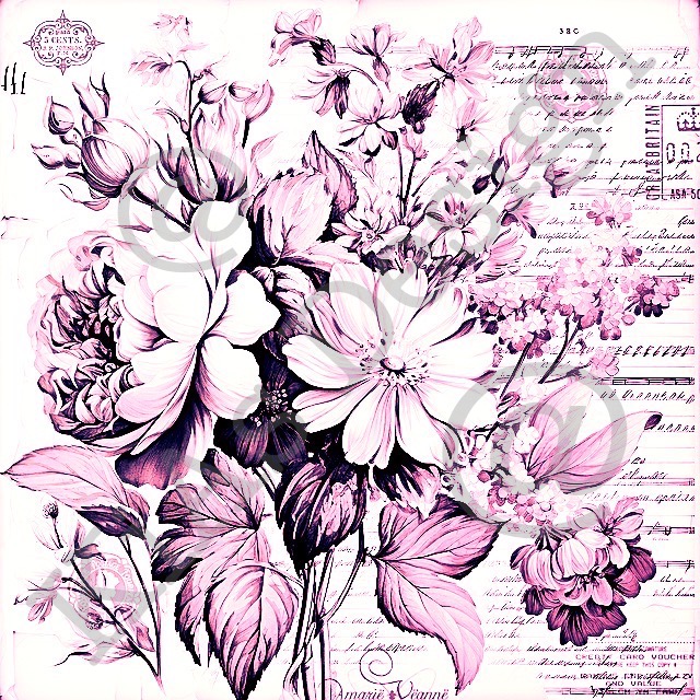 060 KD MP -Rosa blommor i ljuva toner 
