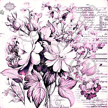 060 KD MP -Rosa blommor i ljuva toner 