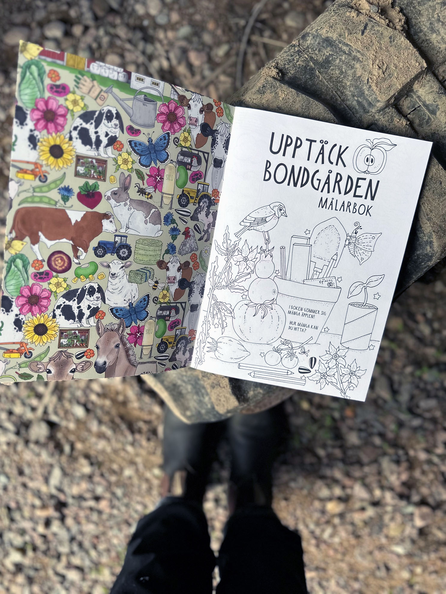 Upptäck bondgården - målarbok - 2