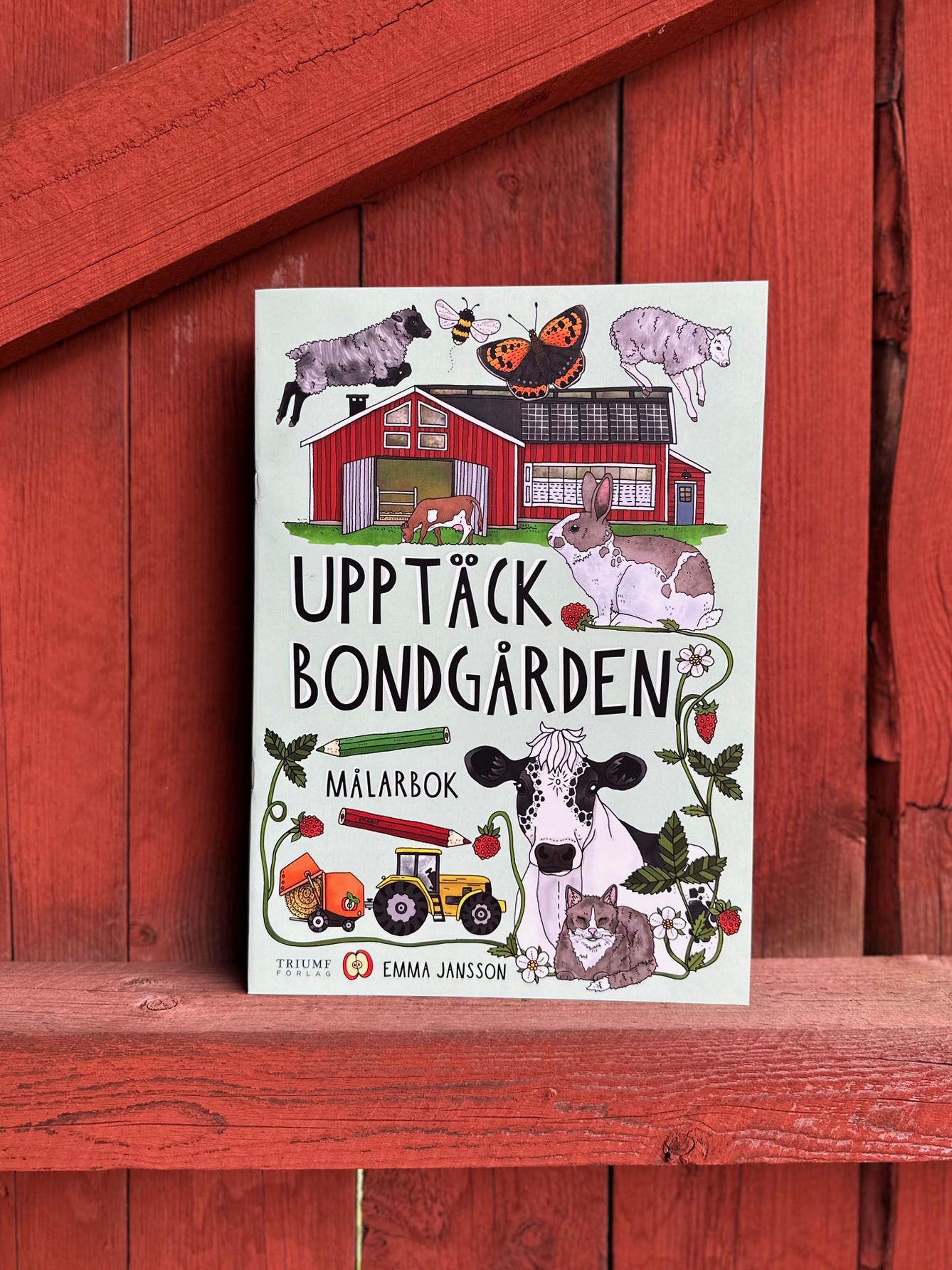 Upptäck bondgården - målarbok - 6