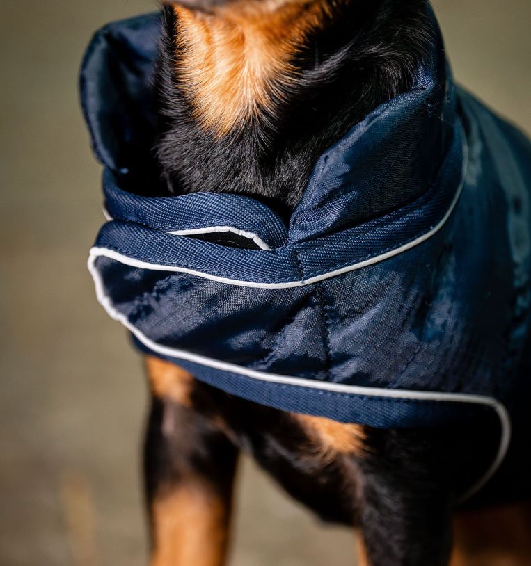 HORSEWARE SIGNATURE PADDED DOG RUG 200gr - 3