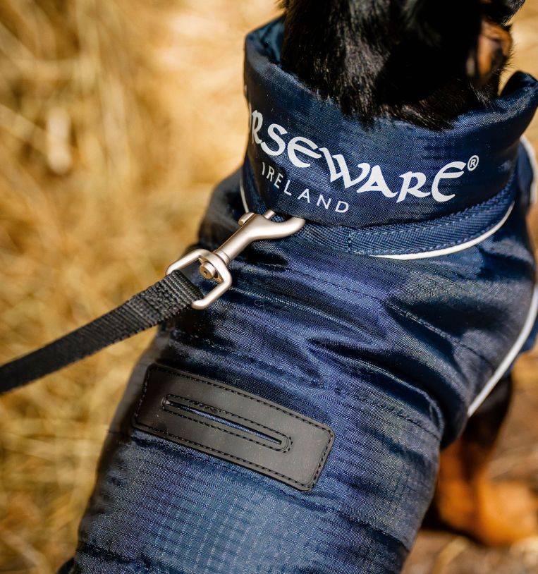 HORSEWARE SIGNATURE PADDED DOG RUG 200gr - 2