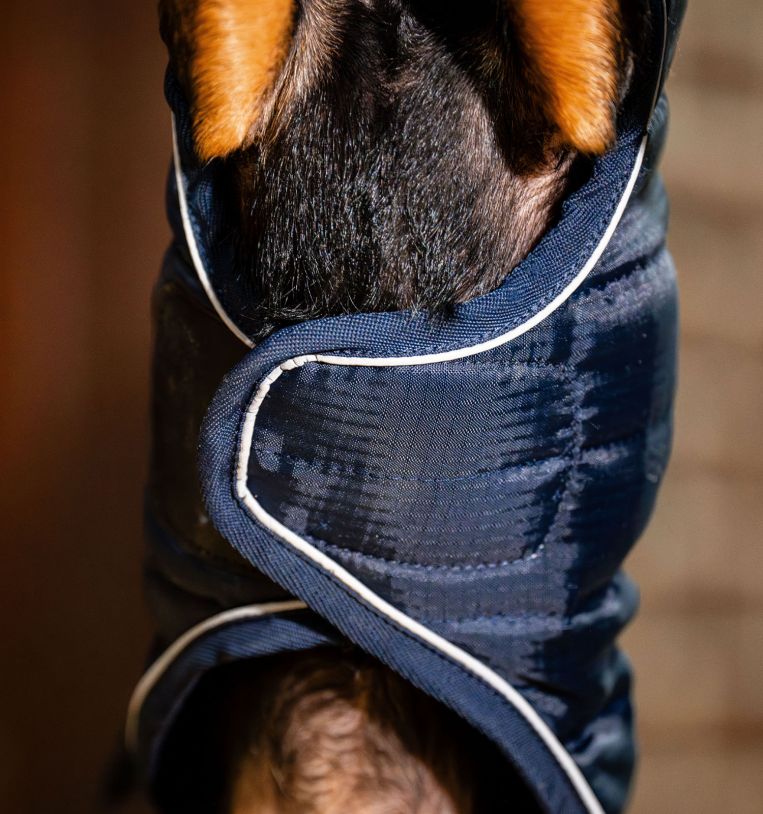 HORSEWARE SIGNATURE PADDED DOG RUG 200gr - 4