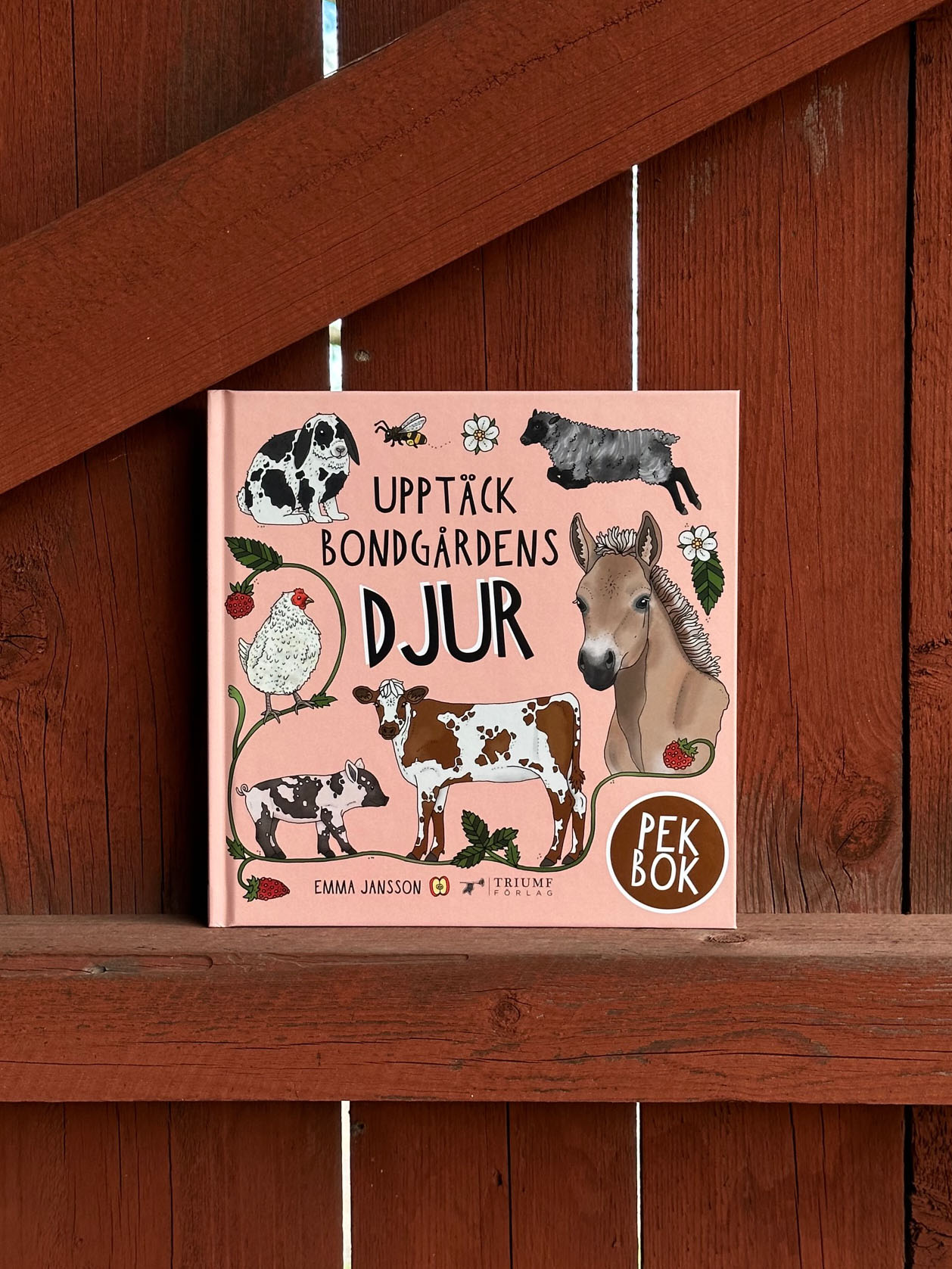 Pekbok - Upptäck bondgårdens djur - 4