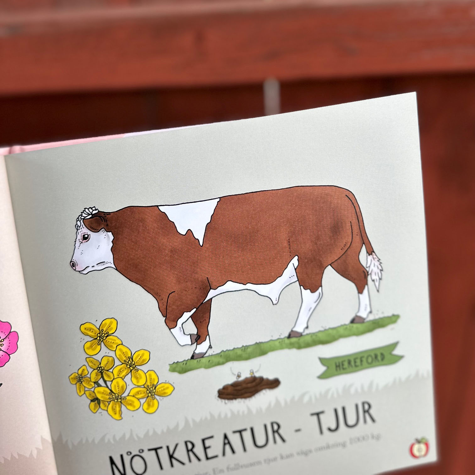 Pekbok - Upptäck bondgårdens djur - 3