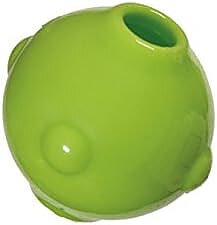 Caitec Solid Amazing Squeaker Ball M