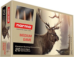 Norma Bondstrike .30-06 11,7g / 180gr