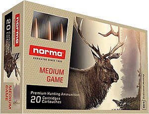 Norma Bondstrike .30-06 11,7g / 180gr